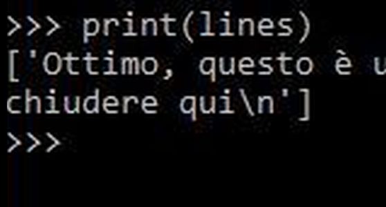 Importare un input di più linee in Python - Eugenio Nappi