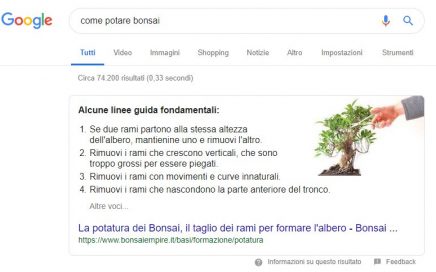 uno snippet di ricerca google