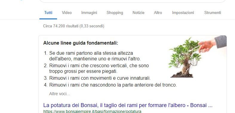 uno snippet di ricerca google