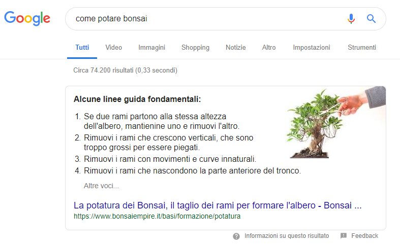 uno snippet di ricerca google