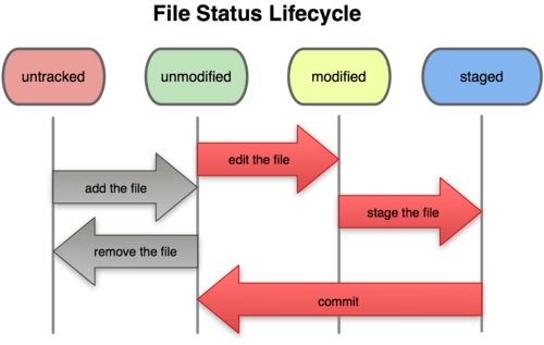 ciclo di vita dei file in Git